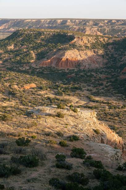 istock Vertical shot of a dry hilly savannah 1445641421