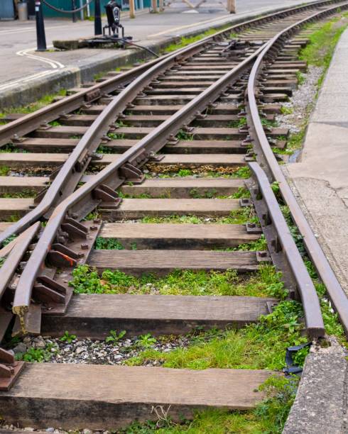 istock Vertical shot of rusty derelict train tracks at an old junction in daylight 1445641713