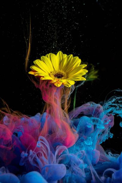 istock Colorful view of underwater flower 1445642145