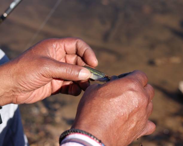 istock Closeup of a man's hands baiting the hook on a blurred background 1445642420