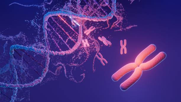 istock DNA spiral structure. DNA Helix complementary strand of  Sequences genetic code or genome. Gene expression. nucleotide database. The Central Dogma process of transcription and translation. 3D Render. 1445642539