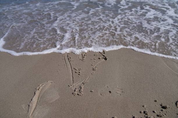 istock Sea coast in Denmark during the daytime 1445642568