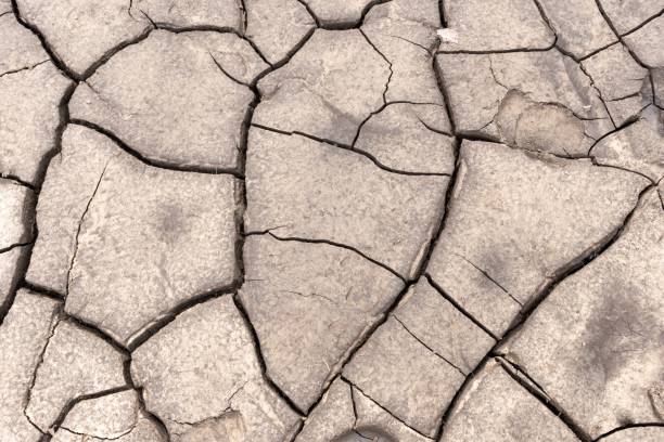 istock Background of a cracked earth texture 1445644281