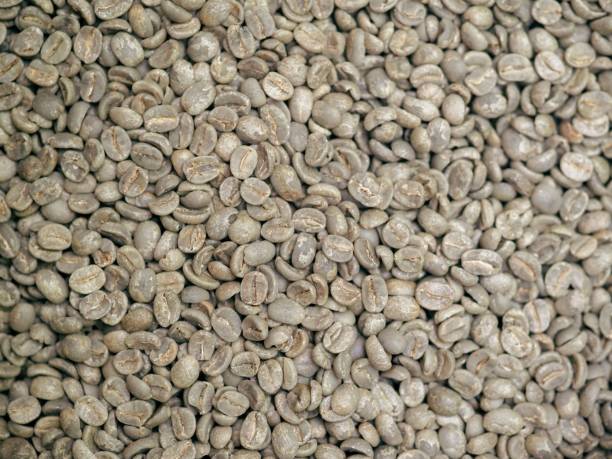 green coffee beans from bio-ethical agriculture in costa rica - coffee bag green bean imagens e fotografias de stock