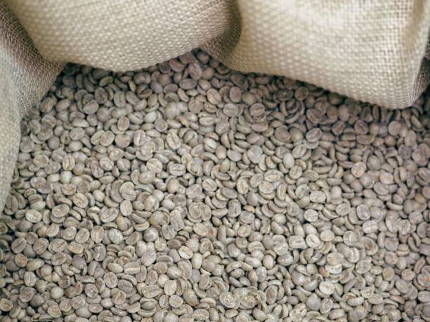 chicchi di caffè verde da agricoltura bioetica in costa rica - coffee bag green bean foto e immagini stock