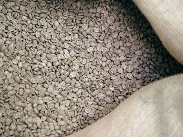 grüne kaffeebohnen aus bioethischer landwirtschaft in costa rica - coffee bag green bean stock-fotos und bilder