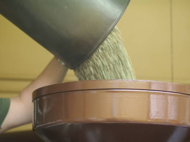 worker pouring raw green coffee beans into the roasting machine - coffee bag green bean imagens e fotografias de stock