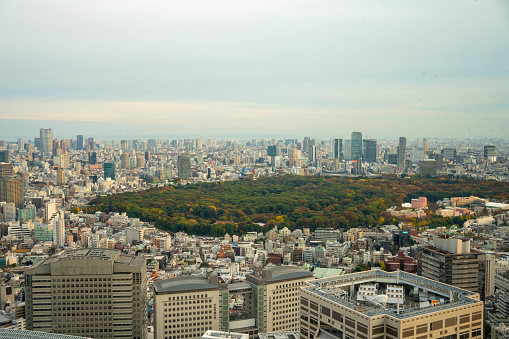 Shinjuku Gyoen and surrounding skyscrapers in Tokyo