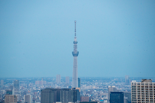 Tokyo, Japan - March 21 2024: Zojoji Temple, Tokyo Tower, and the surrounding buildings.