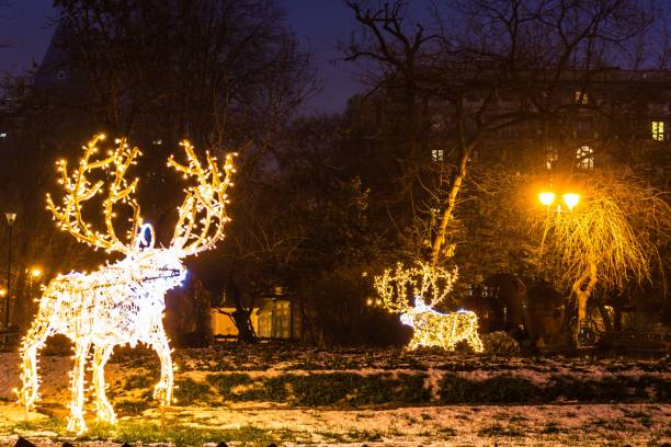 istock Illuminated Christmas decorations in Cismigiu park during winter, downtown Bucharest, Romania 1445646196