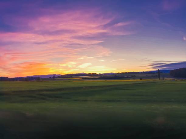 istock Aerial view of a beautiful forest during the sunset 1445646532