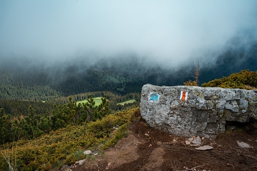 A huge rock on the ground with a background of a landscape in misty weather