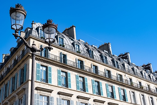 Traditional Buildings in Paris