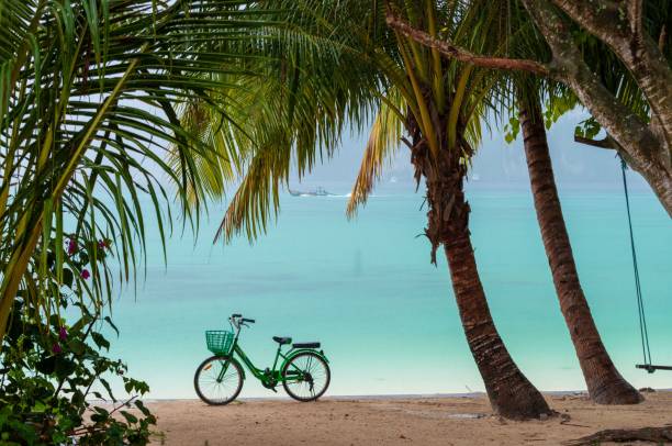 istock Bicycle on a sunny beach with palm trees on Phi Phi Island in Thailand 1445646660
