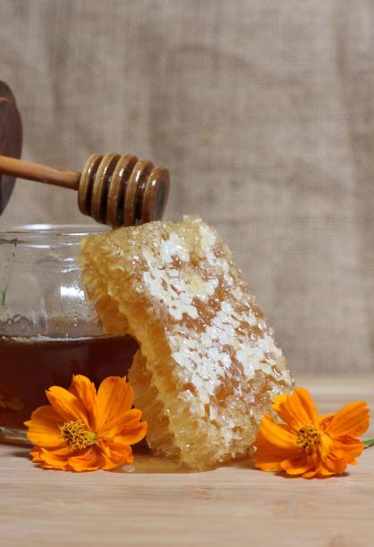 istock Fresh Honey With Honeycomb and Flowers in Rustic Kitchen 1445646851