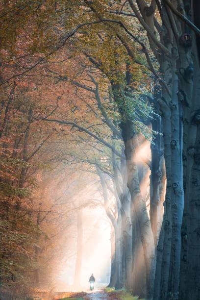 istock Cycling to Heaven in autumn 1445647225