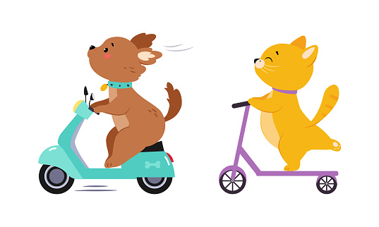Cute baby animals enjoying ride. Puppy on motorbike, kitten on kick scooter cartoon vector illustration isolated on white