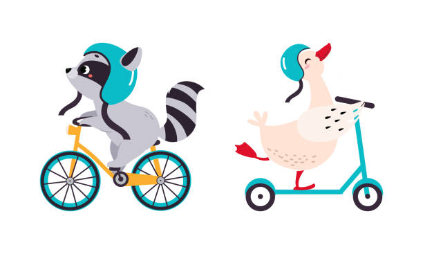 Cute baby animals enjoying ride. Raccoon on bike, gosling on kick scooter cartoon vector illustration Cute baby animals enjoying ride. Raccoon on bike, gosling on kick scooter cartoon vector illustration isolated on white political joke stock illustrations