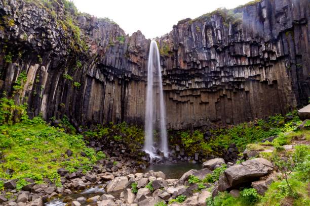 istock Low angle shot of a beautiful waterfall flowing in the forest 1445647468