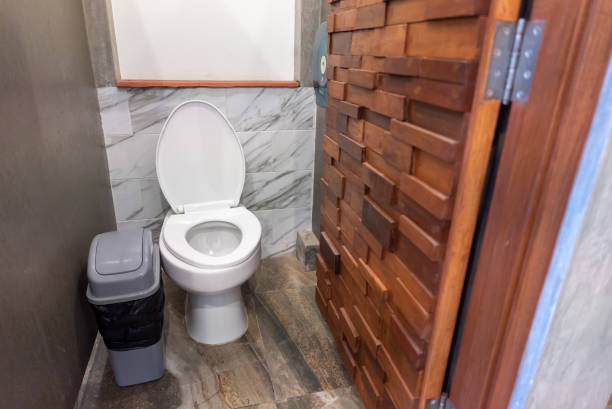 istock Bathroom with beautiful toilet and wood door 1445647708