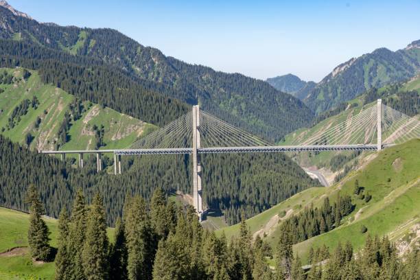 istock Aerial view of the bridge surrounded by mountains 1445647727