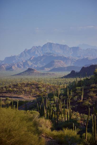 istock Vertical shot of beautiful mountains in Loreto, Mexico 1445647784