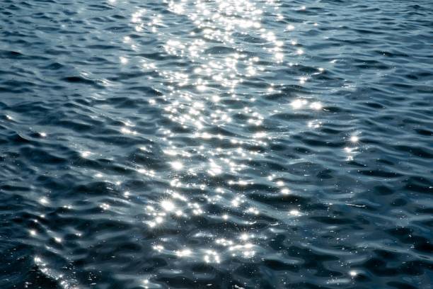istock Sunlight reflecting on the beautiful sea with small waves 1445649160