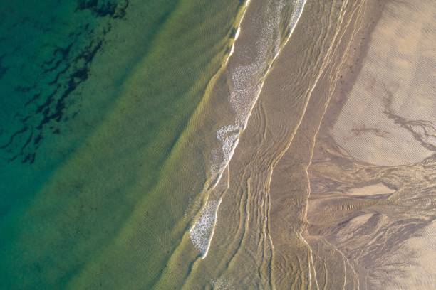istock smooth waves on the shore of a beach, summer concept 1445649307