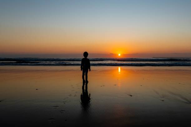 istock Silhouette of a kid looking at the dramatic sunset from a beach 1445649514