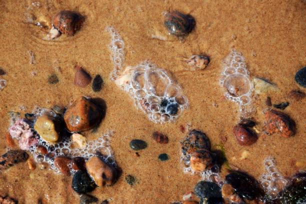 istock Top view of rocks in a wet sandy beach 1445649657