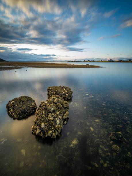 istock Vertical shot of mossy rocks water under a cloudy sky 1445649984