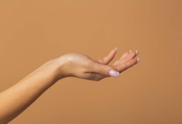 istock Beautiful female hand isolated on beige background 1445650123