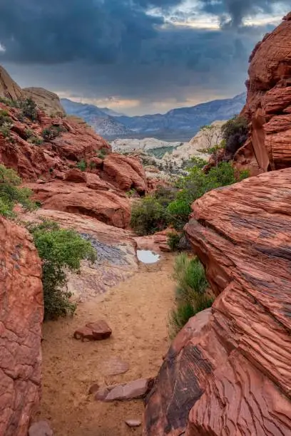 Photo of Vertical shot of Red Rock Canyon in Las Vegas, Nevada