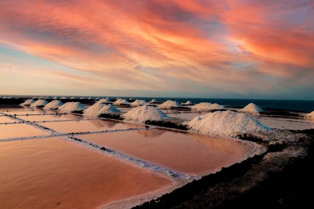 istock Salt In Fuencaliente. 1445650730