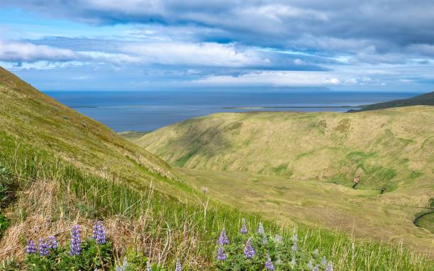 10+ Andreanof Islands Photos Stock Photos, Pictures & RoyaltyFree