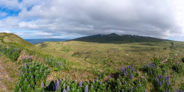 istock Shagak Bay Valley and Streams 1445650827