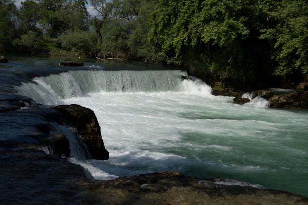 istock Beautiful view of a waterfall surrounded by green trees 1445650874