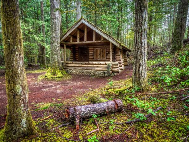 An old wooden cabin in the woods