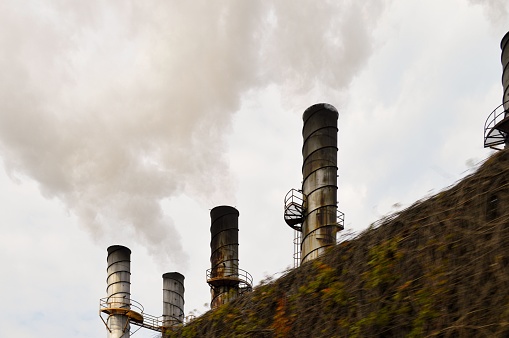 A group of industrial chimneys belching smoke polluting the atmosphere behind a fence with vines in the foreground
