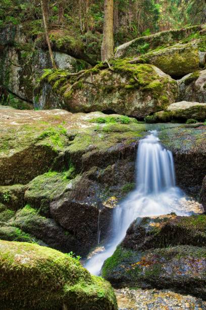 istock Vertical long exposure shot of the Lohnbachfall in Austria 1445652326