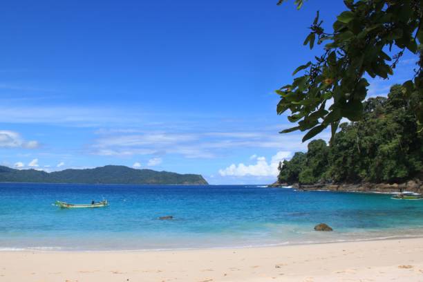 istock Fishing boat near a sandy beach on a sunny day 1445652709