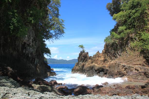 istock Beautiful view of rocky seashore with trees 1445652717