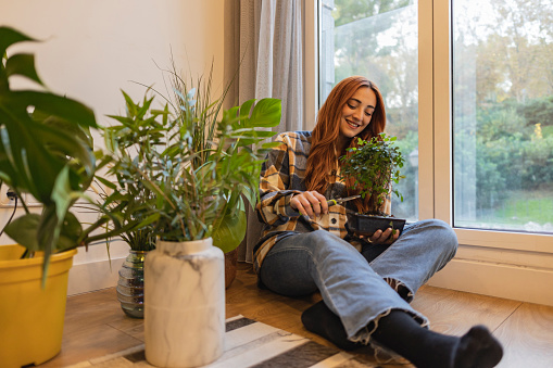 Caucasian redhead female pruning a bonsai on the floor at home
