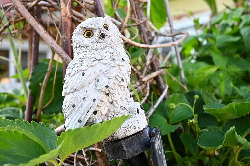 A white owl figure in a garden against a blurred background