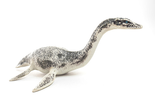 Model of a plesiosaurus. Dinosaur isolated on the white background. Close-up