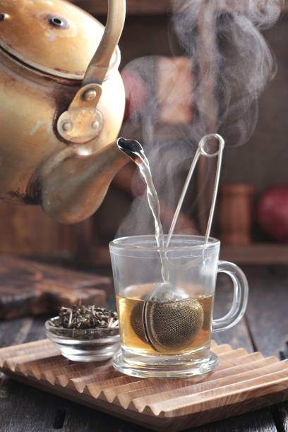 istock Food photography 1445657945
