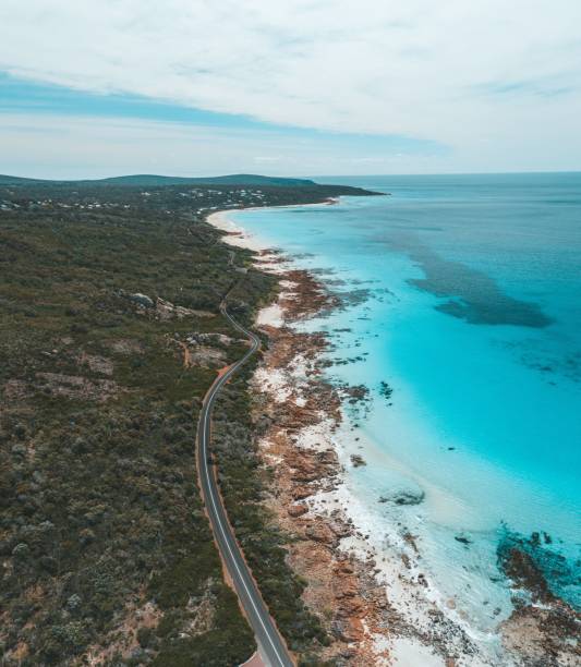 istock Mesmerizing shot of a clear blue ocean on a bright day 1445658222
