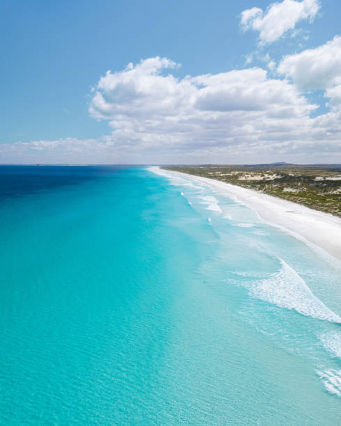 istock Mesmerizing shot of a clear blue ocean on a bright day 1445658351