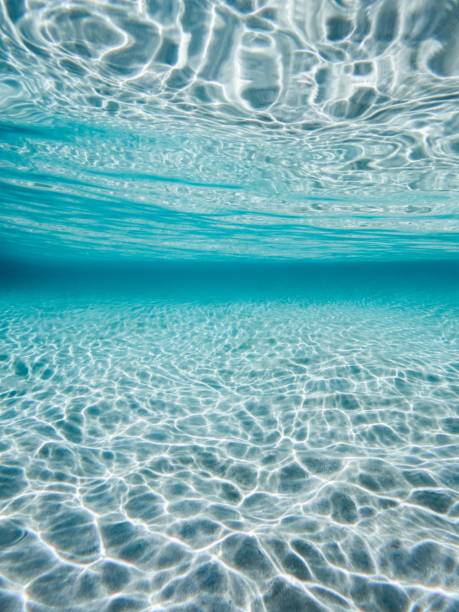 istock Vertical shot of a blue underwater background 1445658678