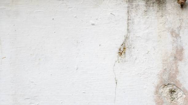 istock Closeup shot of a white rusted old broken wall surface 1445658906